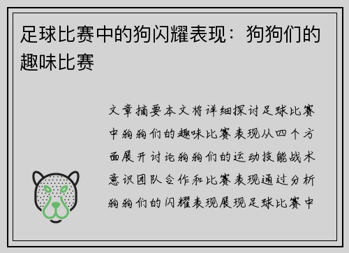 足球比赛中的狗闪耀表现：狗狗们的趣味比赛